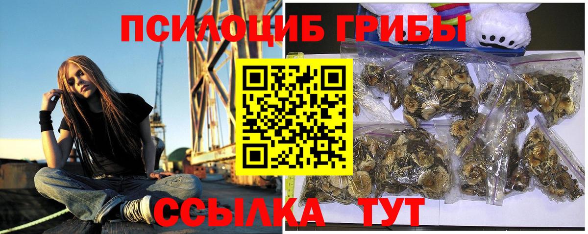 как найти закладки  Галлюциногенные грибы Magic Shrooms  Вход с VPN  Пенза 