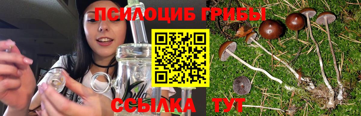 Галлюциногенные грибы ЛСД Пенза